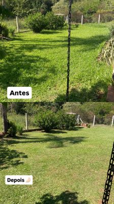 Tio Grama - Jardinagem e Serviços Gerais foto 4
